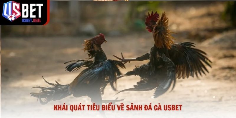 Khái quát tiêu biểu về sảnh đá gà Usbet